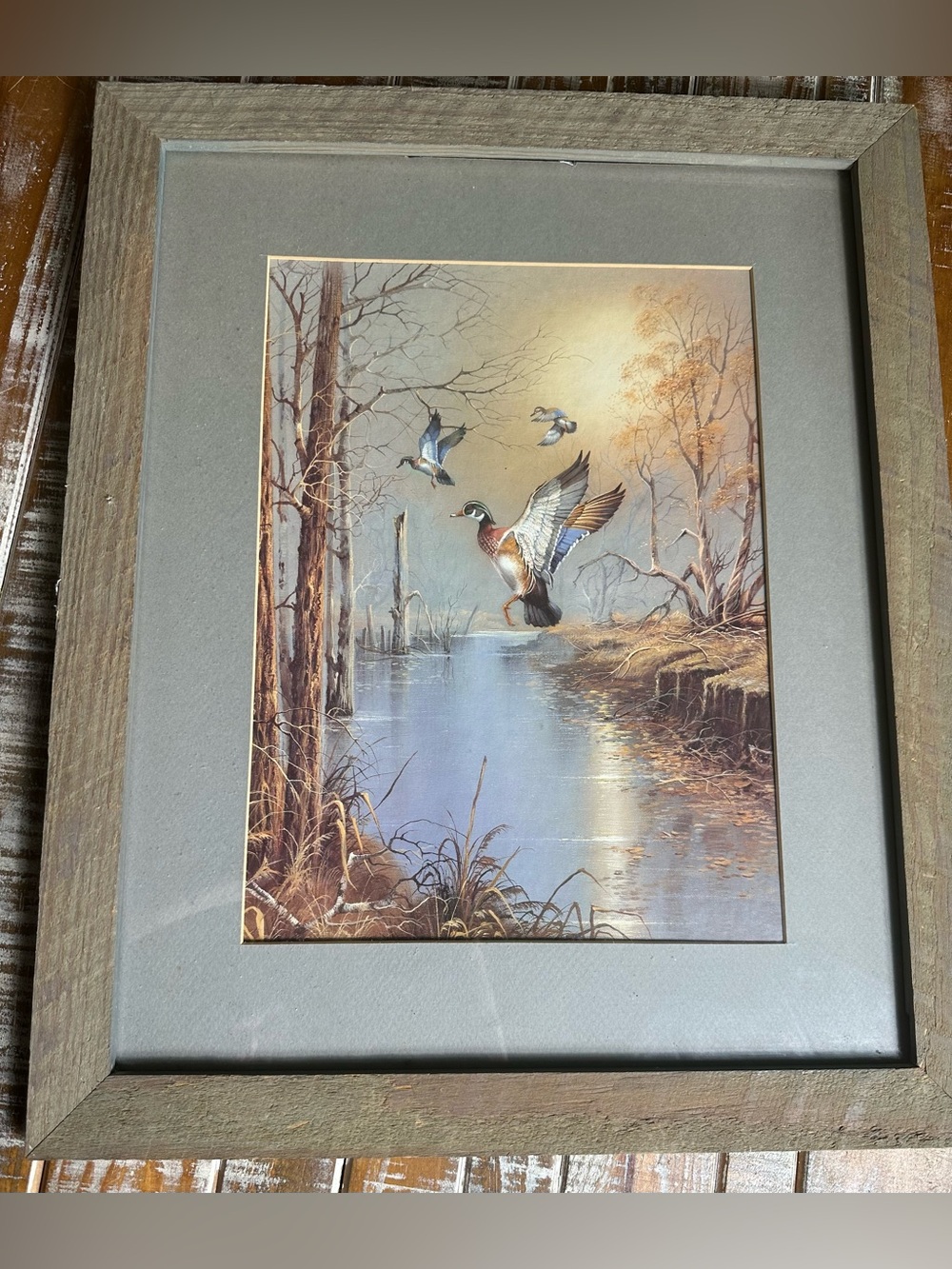 1985 Framed Duck Waterfowl Print in Wood Frame - Brown, Gray, Blue